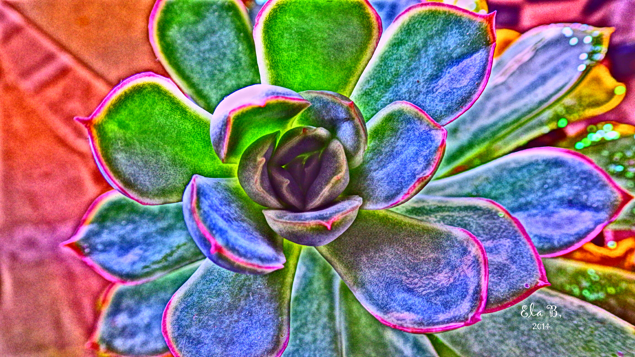 PENTAX RICOH IMAGING PENTAX WG-3 GPS sample photo. Colors of the rainbow photography