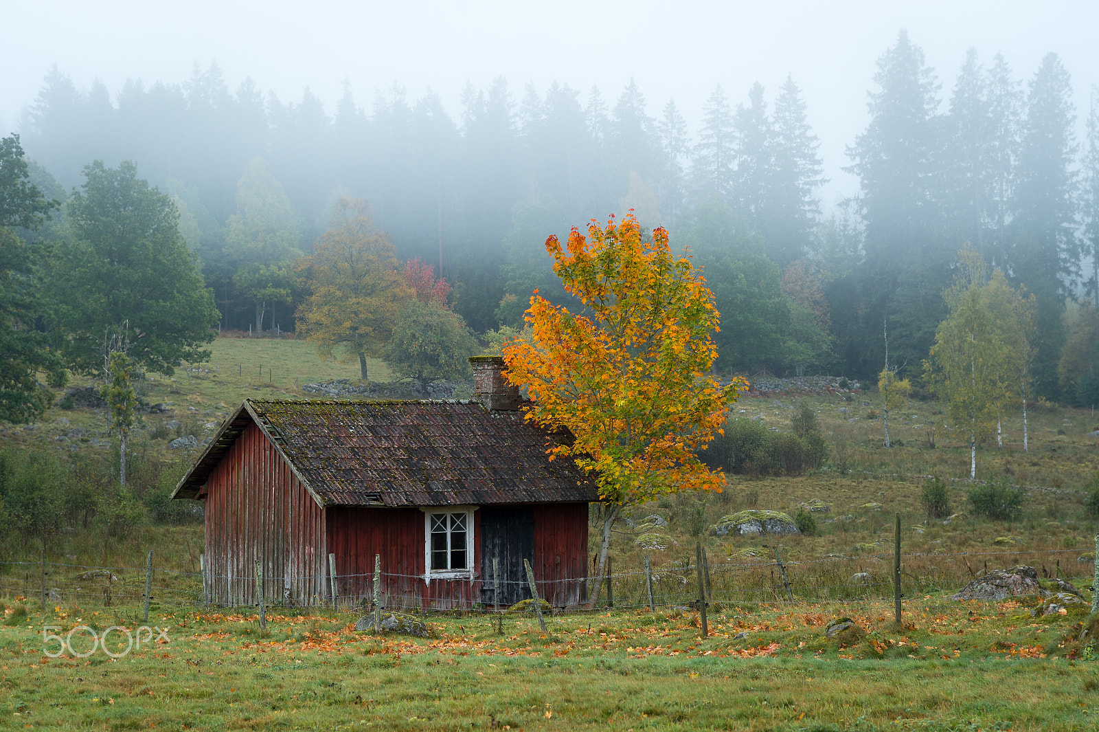 Nikon D4S sample photo. Abandoned cottage in autumn colors photography
