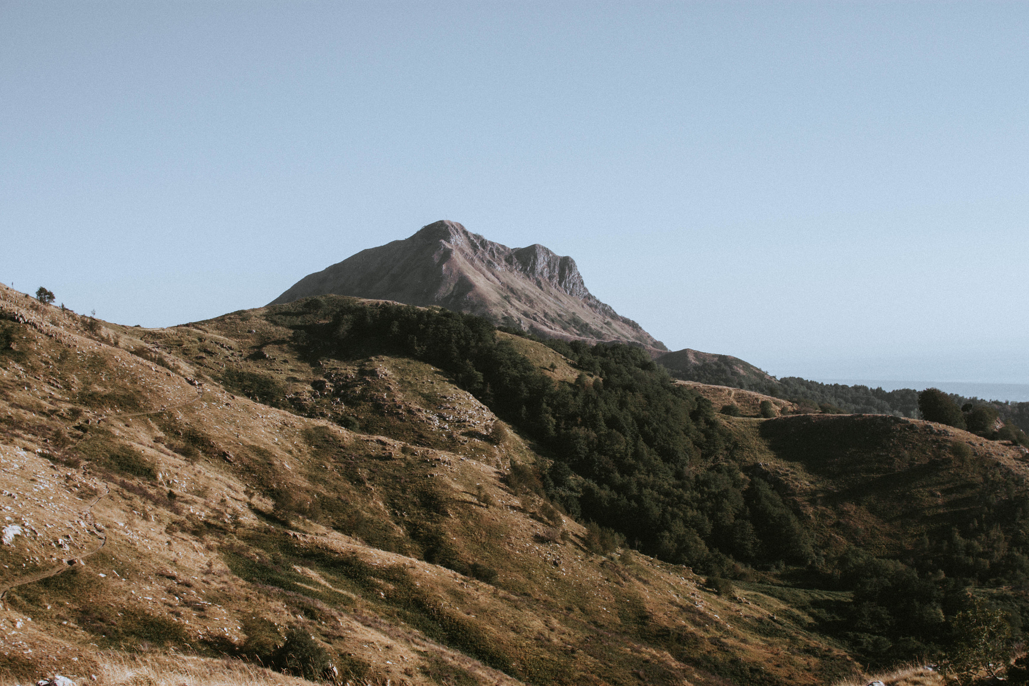 Sigma 30mm F1.4 EX DC HSM sample photo. Monte matanna (lu), summer 2016. photography