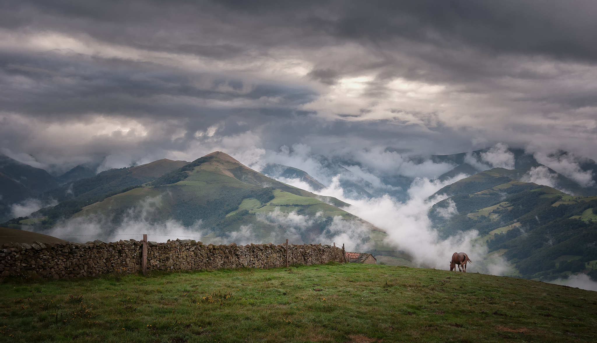 Nikon D300S sample photo. Among clouds. photography
