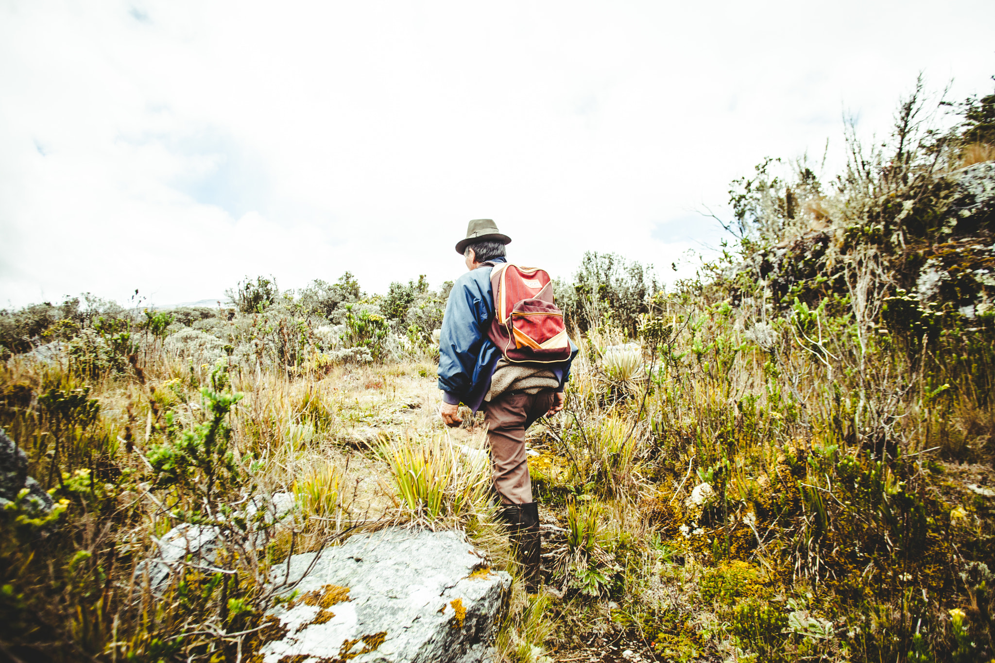 Canon EF 20mm F2.8 USM sample photo. Trekking in the colombian andes photography