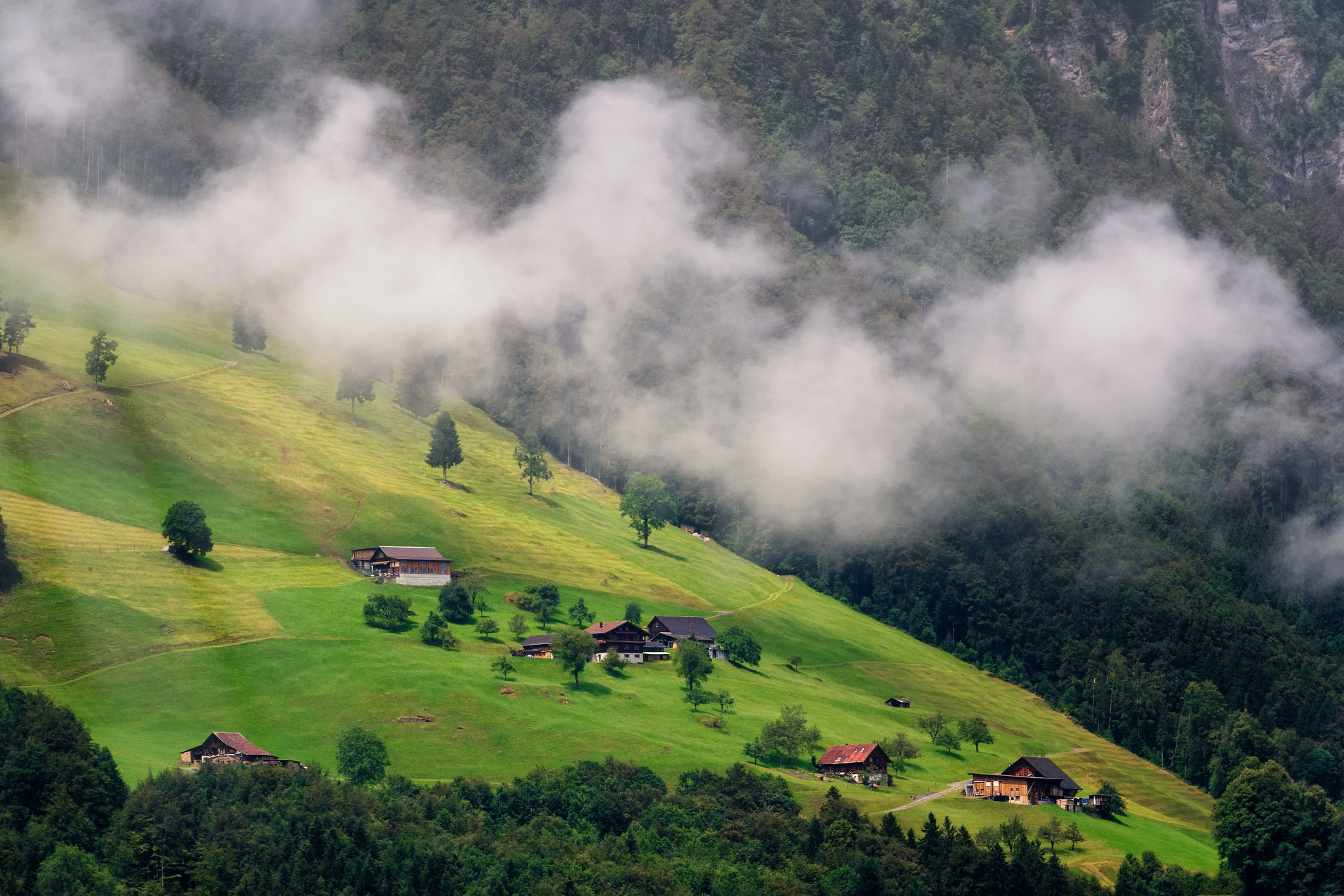 Nikon D5 sample photo. Switzerland photography