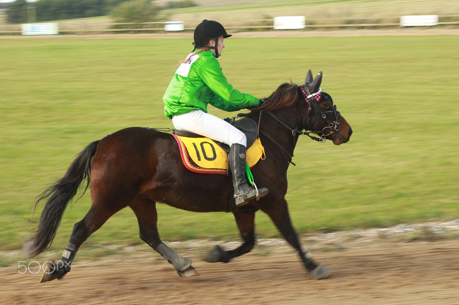 Canon EF 28-105mm f/3.5-4.5 USM sample photo. Horse racing track photography