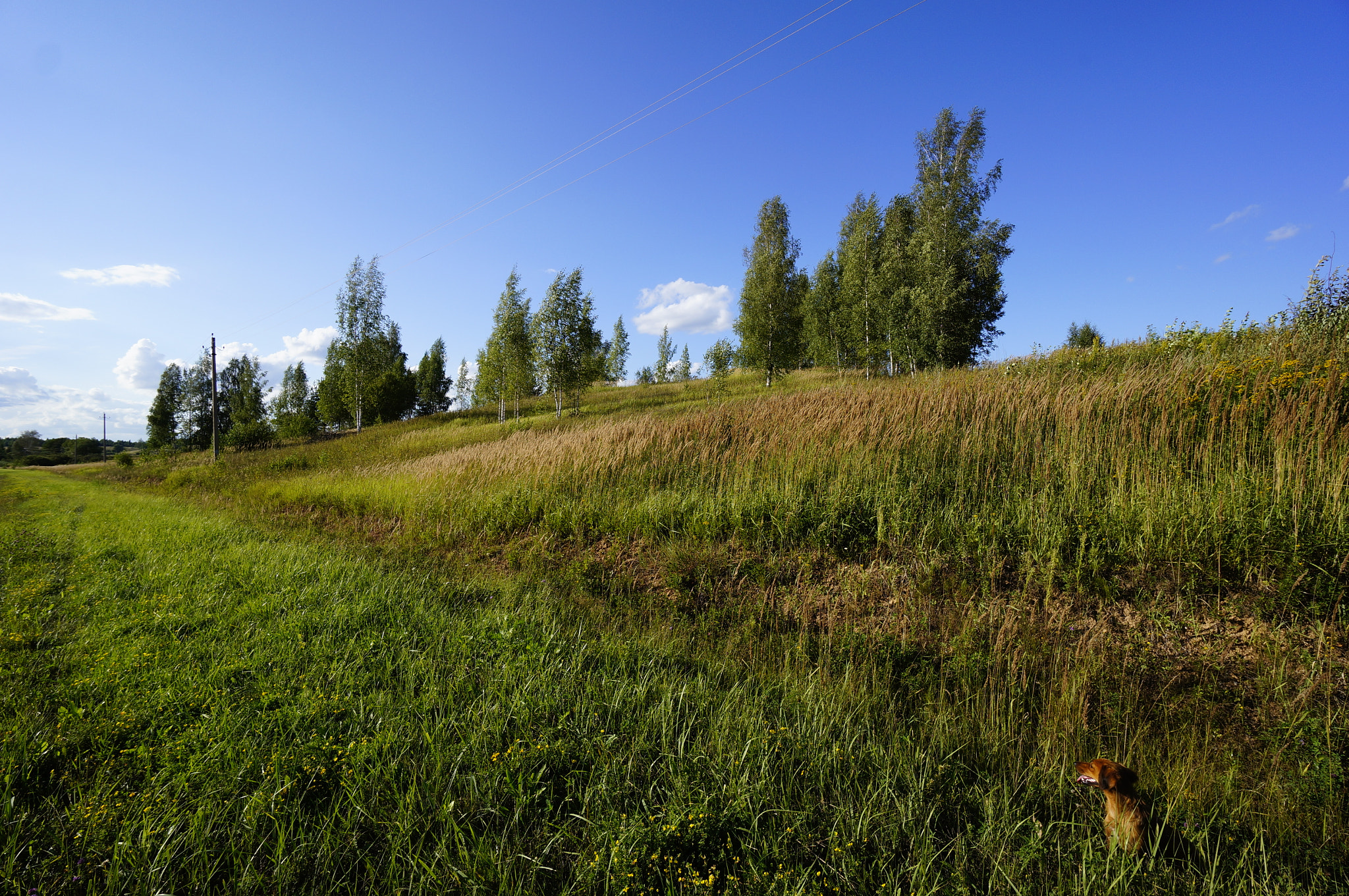 Sony Alpha NEX-5N + Sony E 10-18mm F4 OSS sample photo. * photography