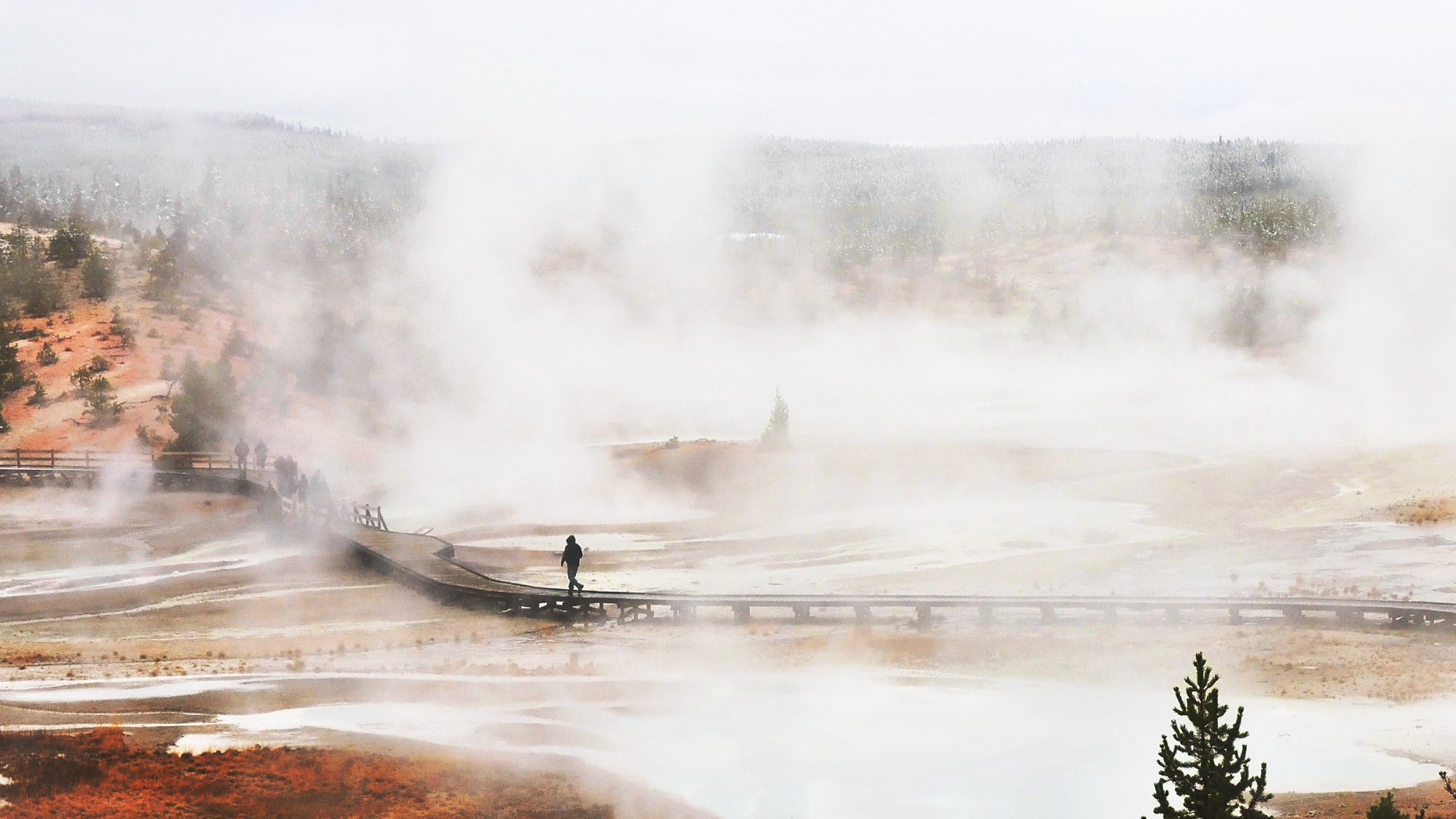 Nikon AF-S Nikkor 24-120mm F4G ED VR sample photo. Yellowstone in vapor photography