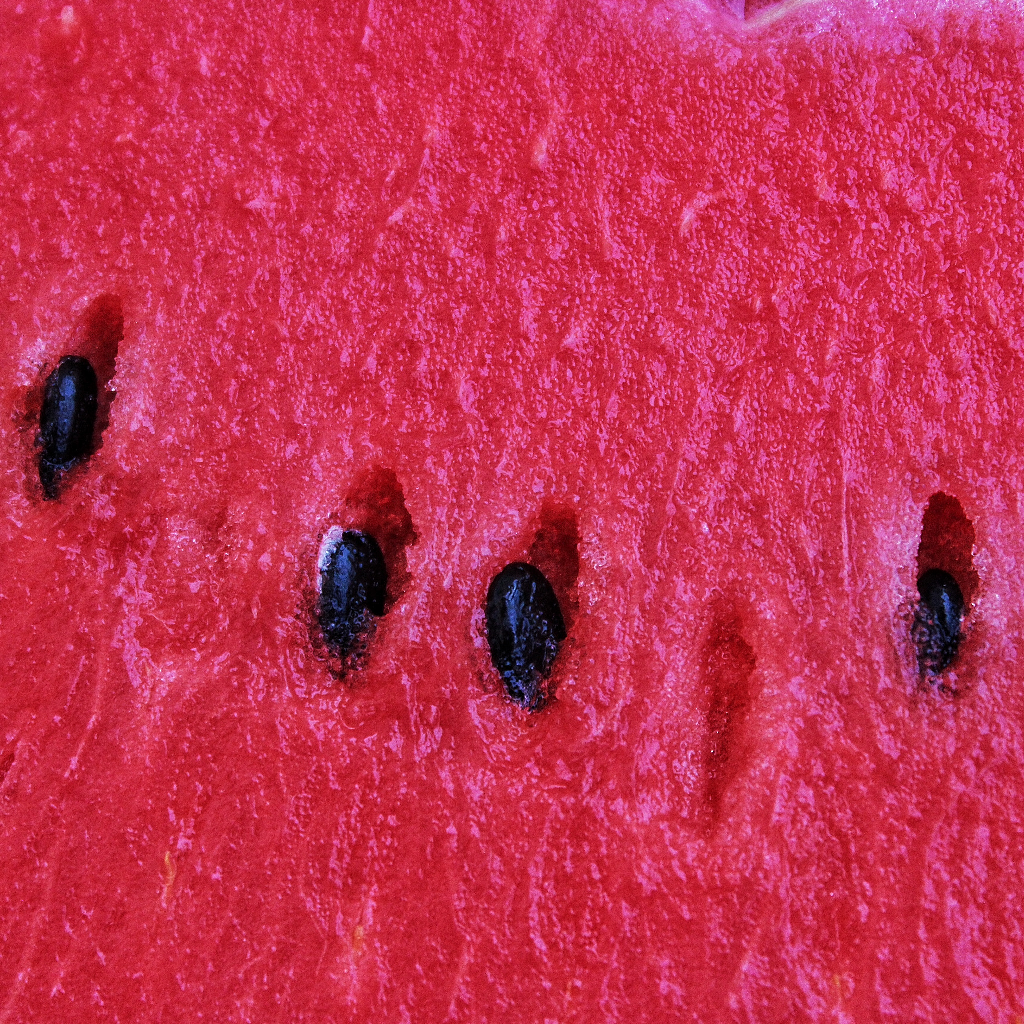 Canon EF-S 18-55mm F3.5-5.6 IS II sample photo. Watermelon texture in close up photography
