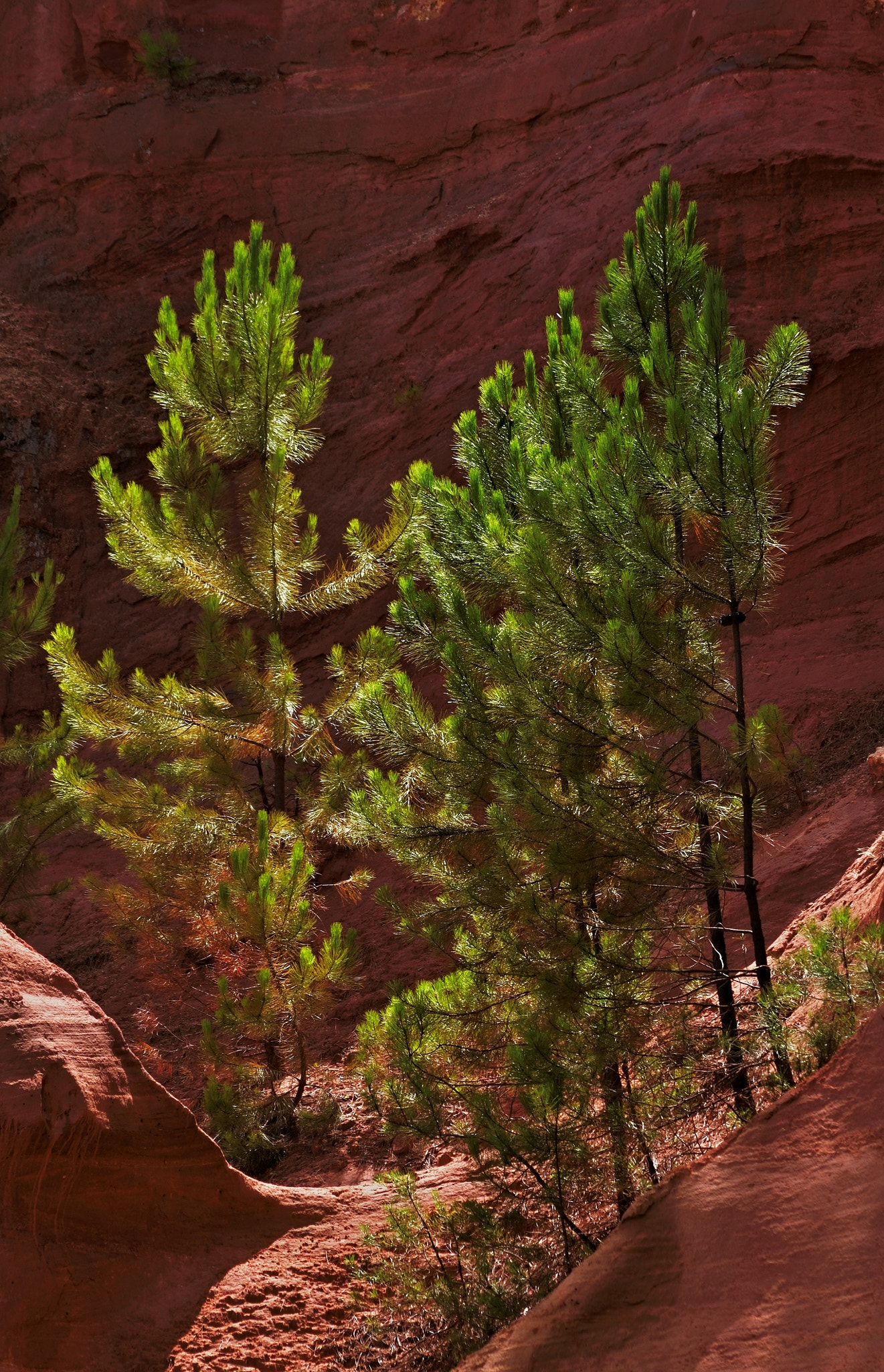 Nikon D7000 + AF Nikkor 70-210mm f/4-5.6D sample photo. Rousillon, orgy of colours photography