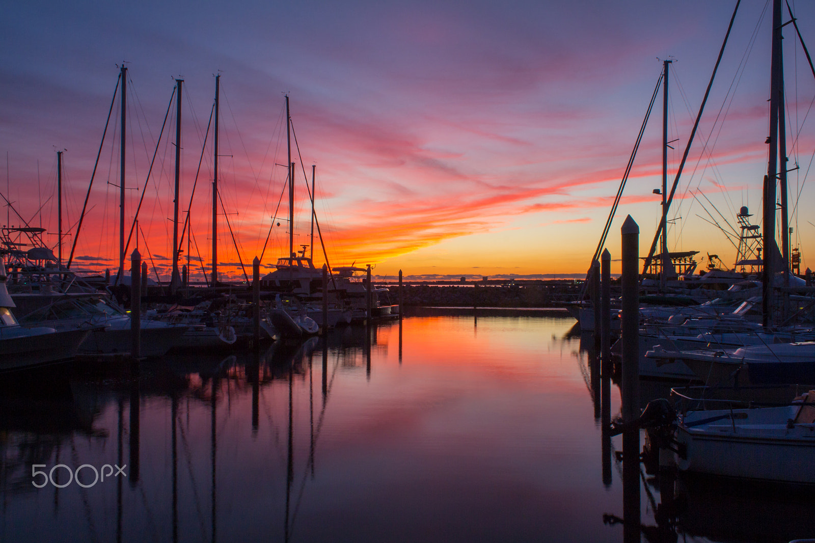 Canon EOS 700D (EOS Rebel T5i / EOS Kiss X7i) sample photo. Sailor's delight photography