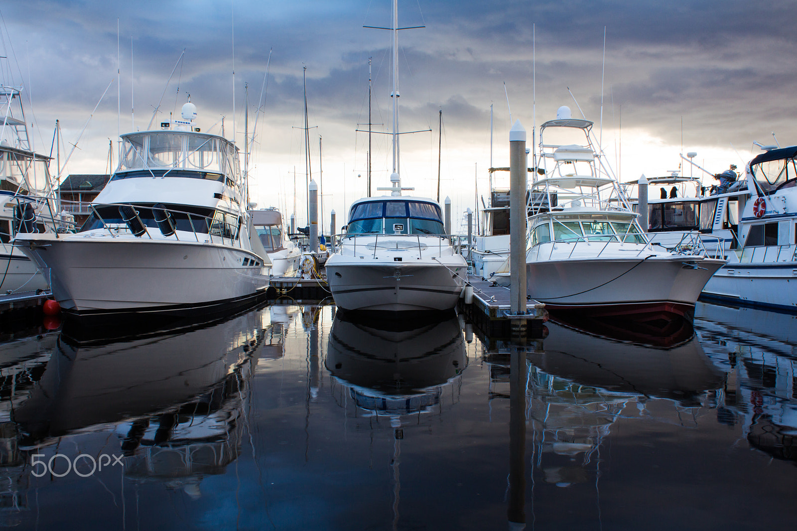 Canon EOS 700D (EOS Rebel T5i / EOS Kiss X7i) sample photo. All in a row photography