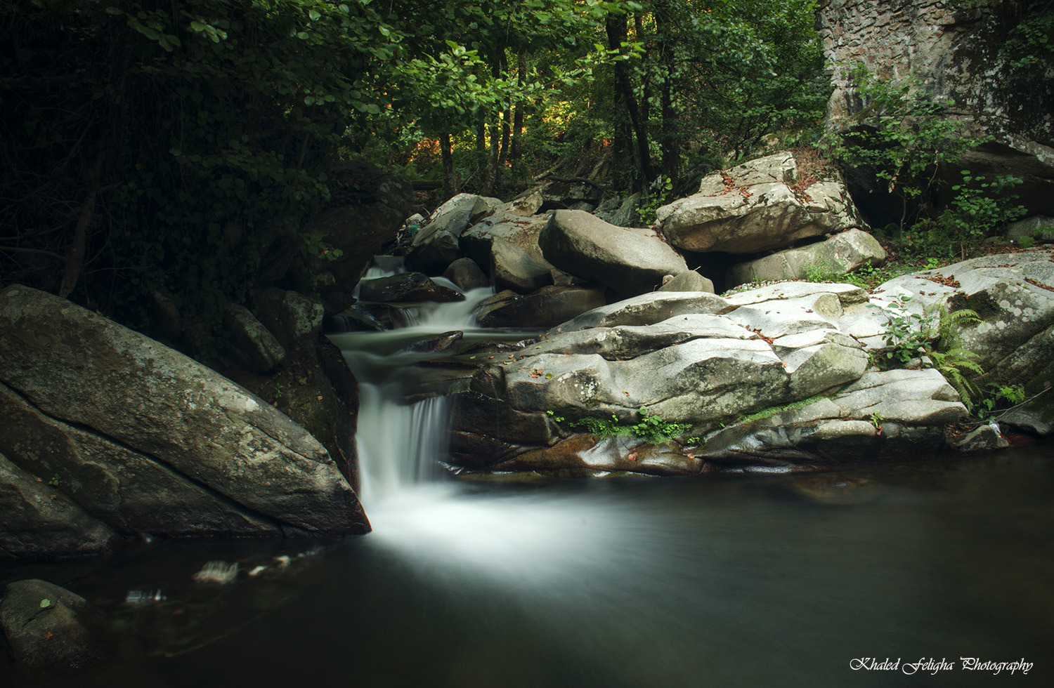 Sigma 18-50mm F2.8-4.5 DC OS HSM sample photo. Oulja photography