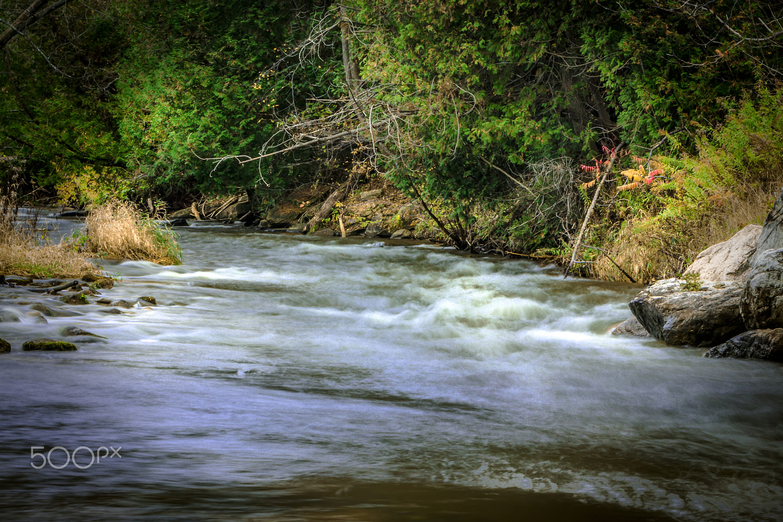 Canon EF 70-200mm F2.8L IS USM sample photo. Credit river photography