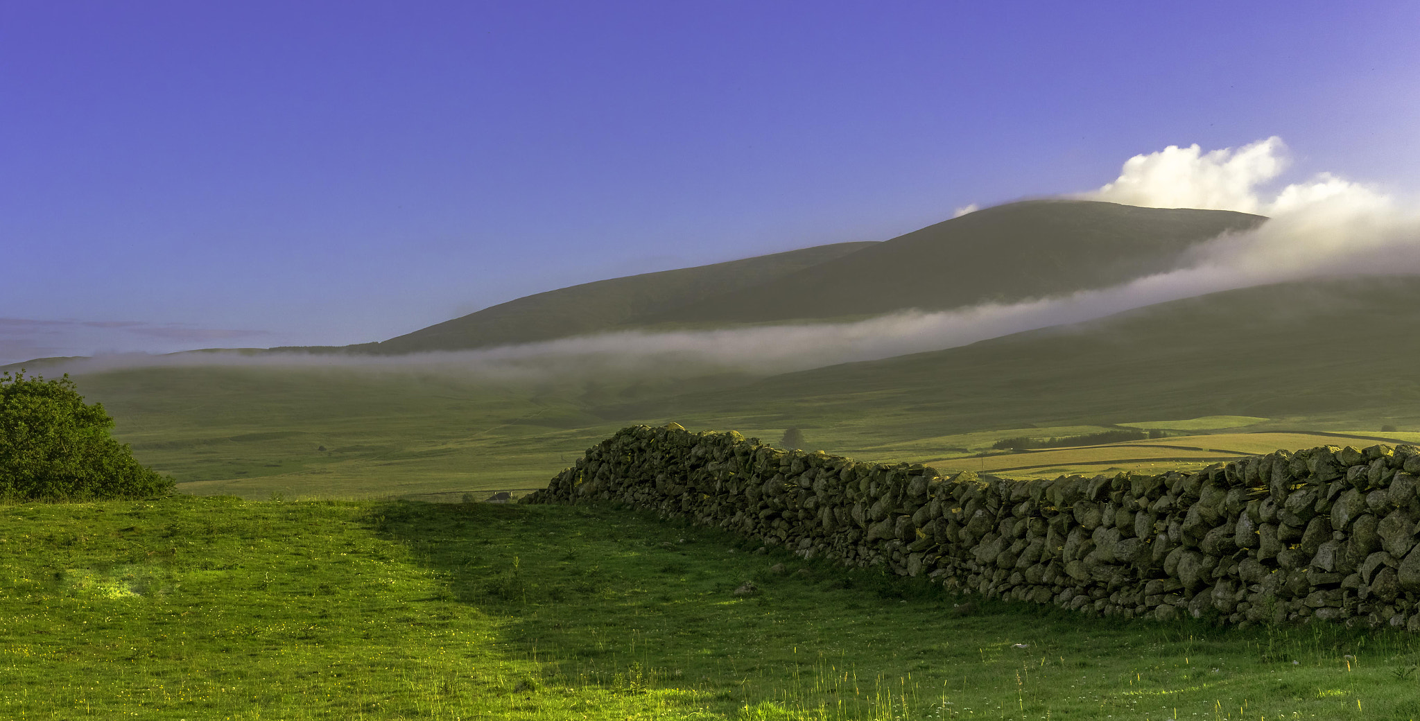 Canon EF 16-35mm F4L IS USM sample photo. Early morning at mark farm, creetown photography