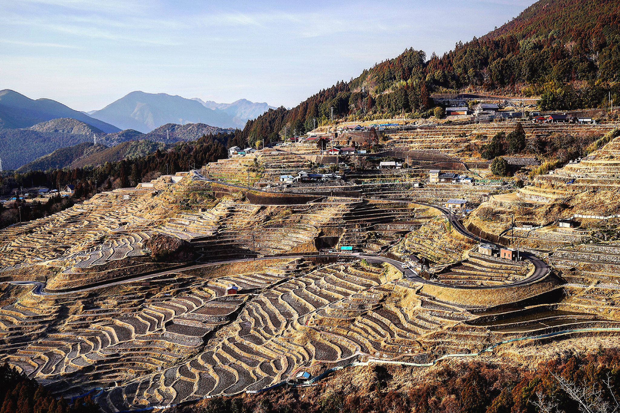 Sony Cyber-shot DSC-RX1R + Sony 35mm F2.0 sample photo. Rice field of the season of the quietness photography