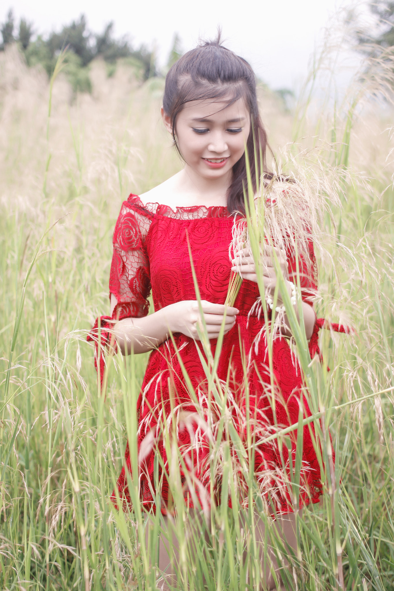 Canon EOS 50D + Canon EF 40mm F2.8 STM sample photo. Mg photography