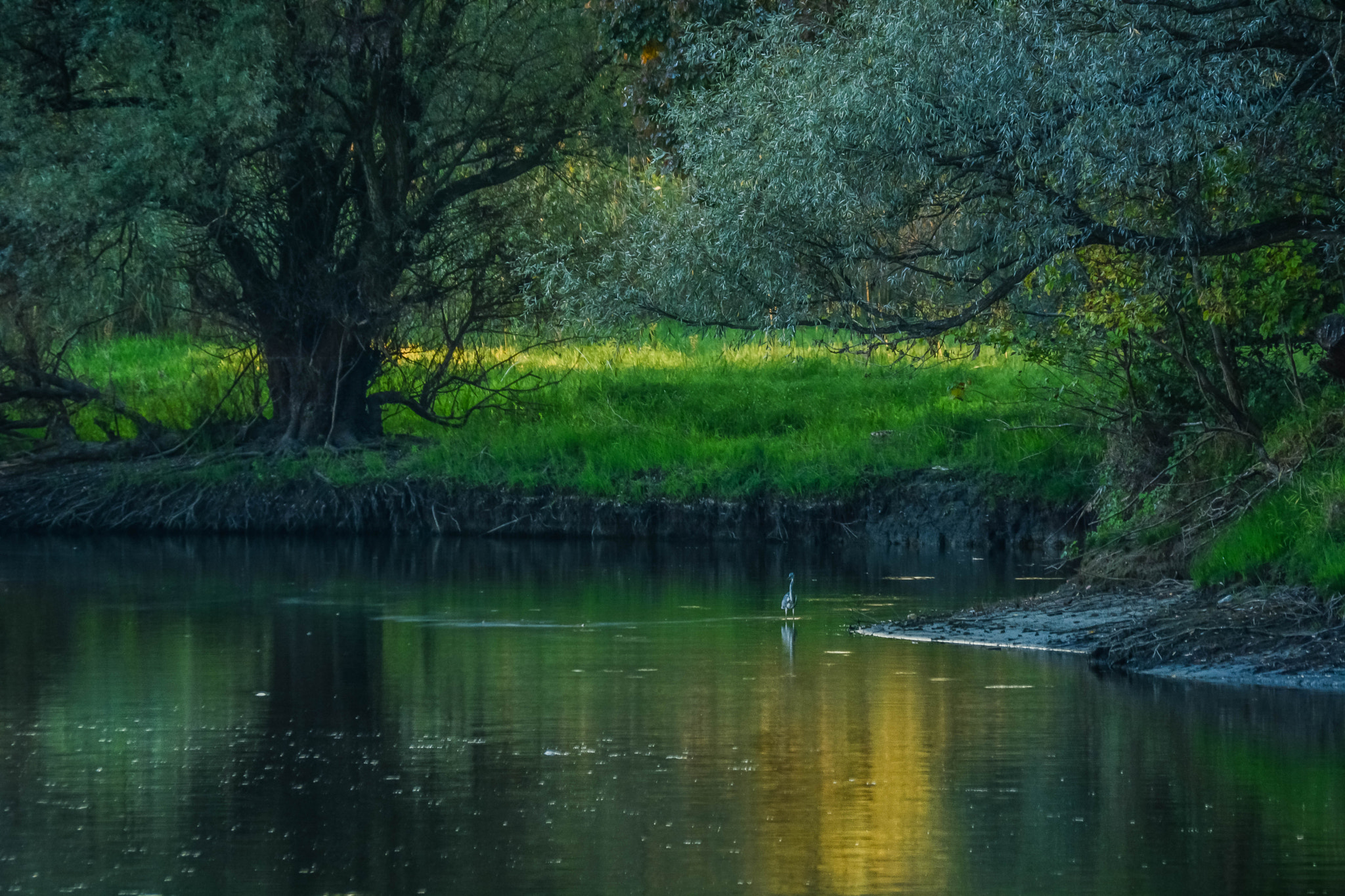 Nikon D7100 + Sigma 70-300mm F4-5.6 DG Macro sample photo. Nature park photography