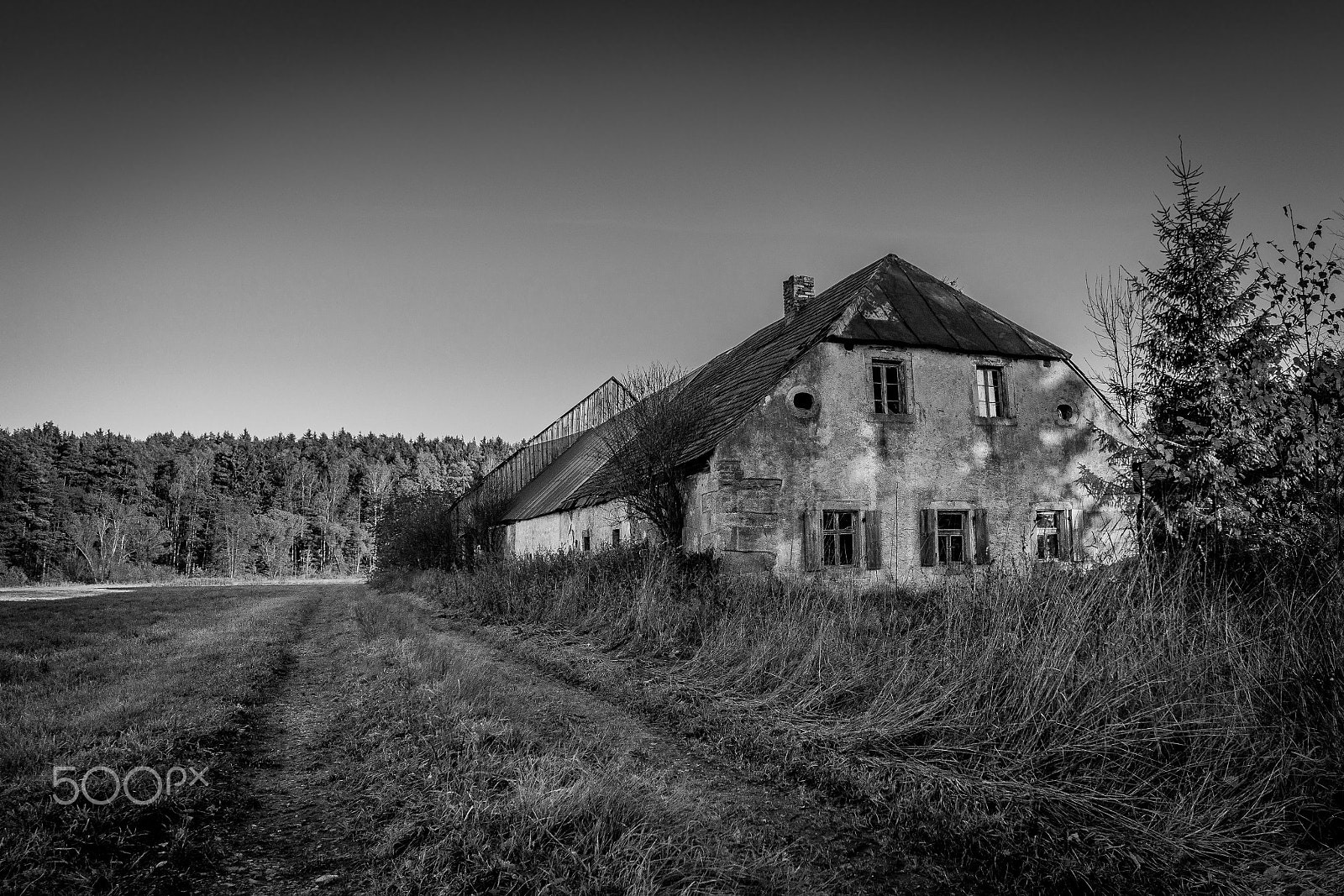 ZEISS Touit 12mm F2.8 sample photo. The house on the way photography