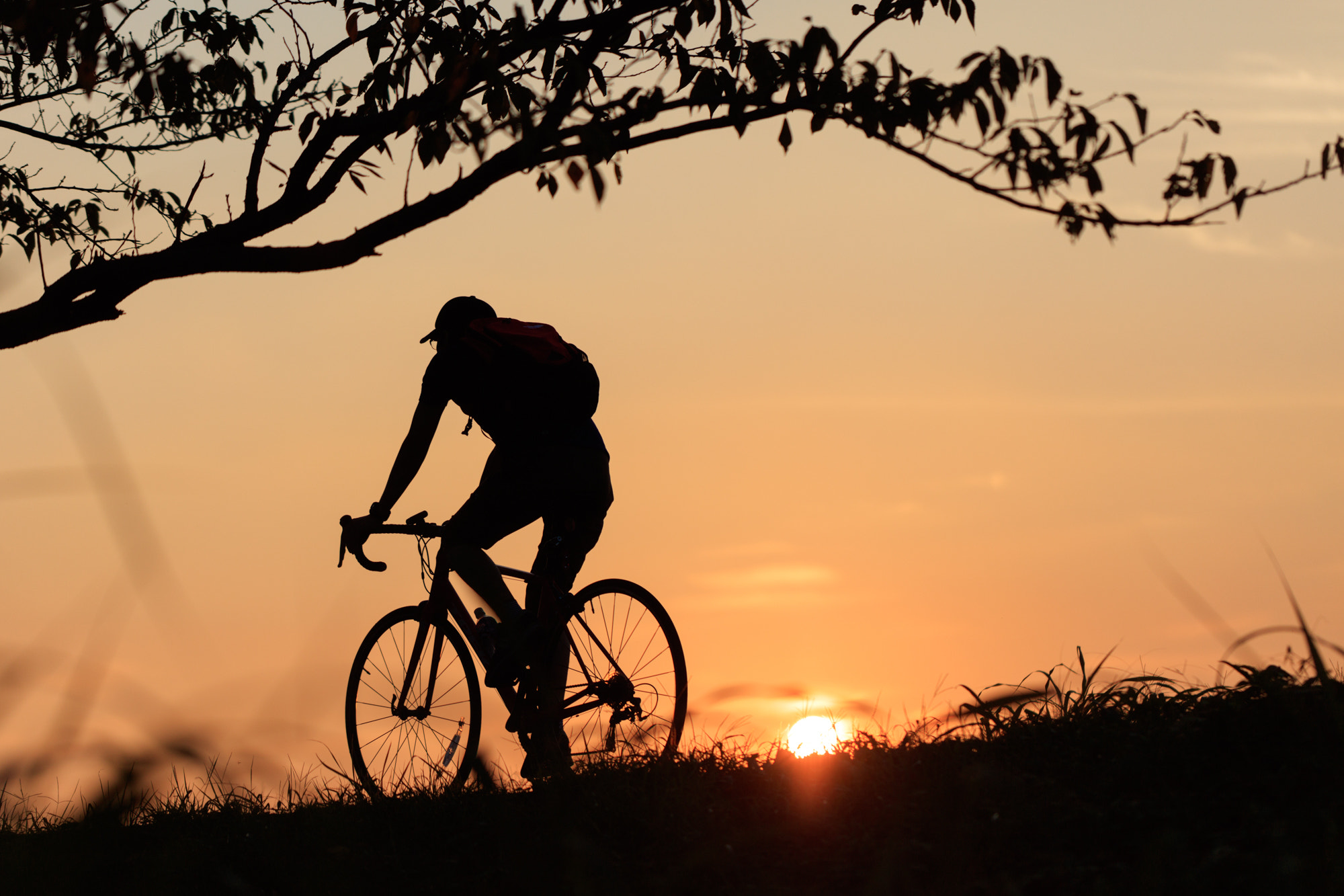 Canon EOS 5DS + Canon EF 100mm F2.8L Macro IS USM sample photo. Bicycle photography