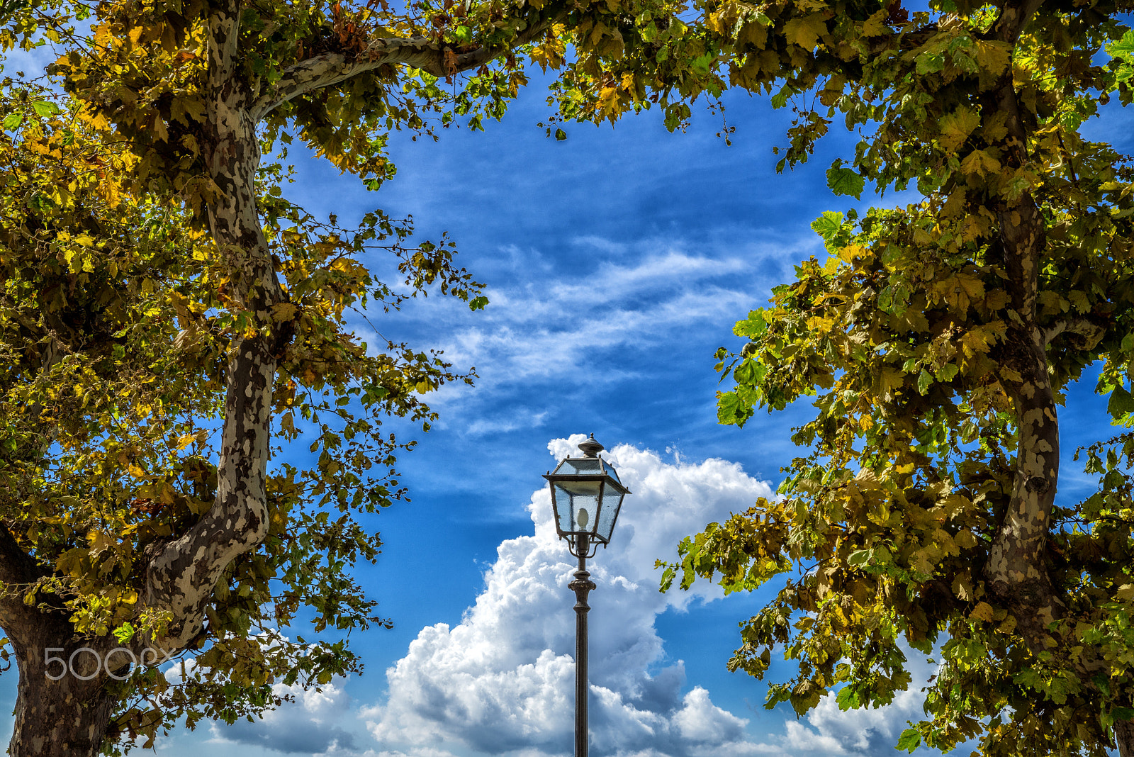 Sony a7R sample photo. Surrounded photography