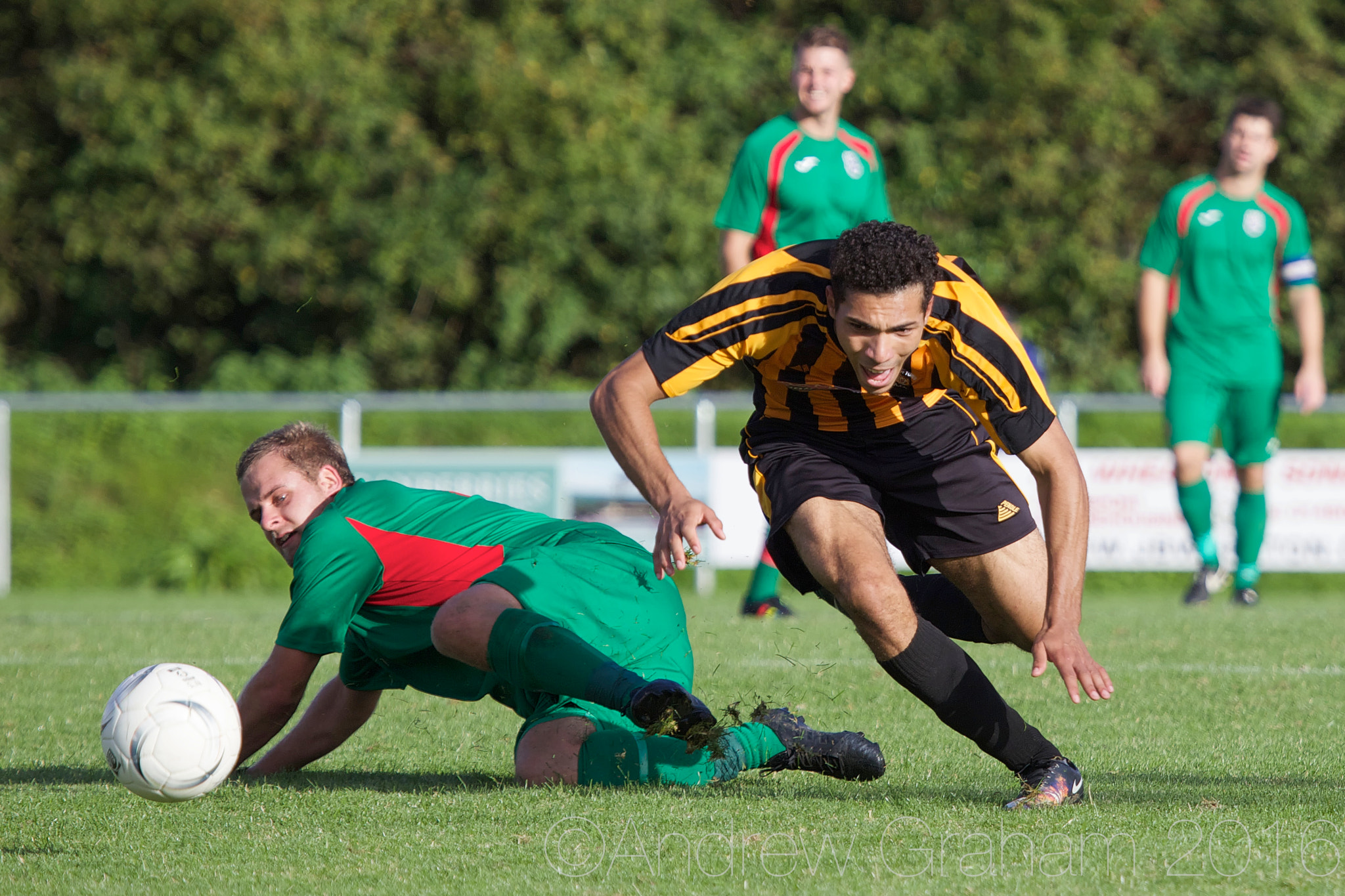 Canon EOS-1D Mark IV sample photo. Being fouled photography