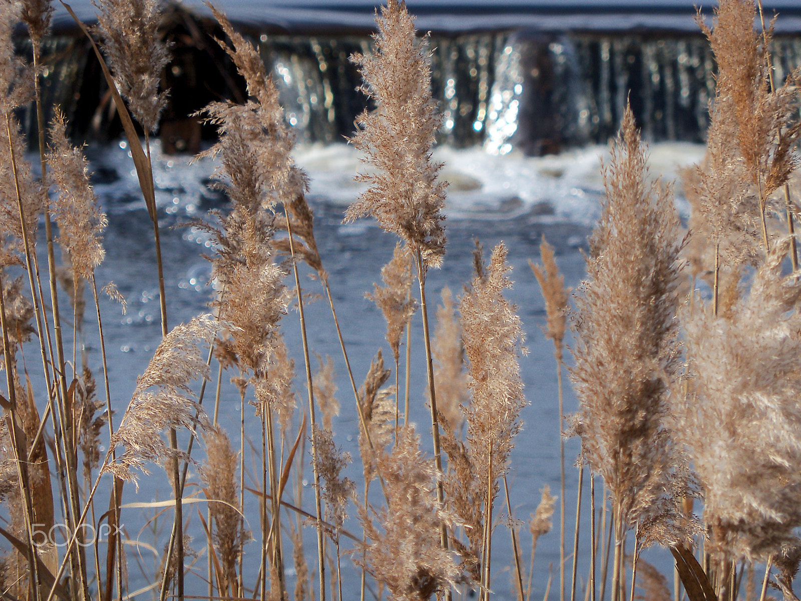 Kodak EasyShare Z915 sample photo. Southern new jersey, usa photography