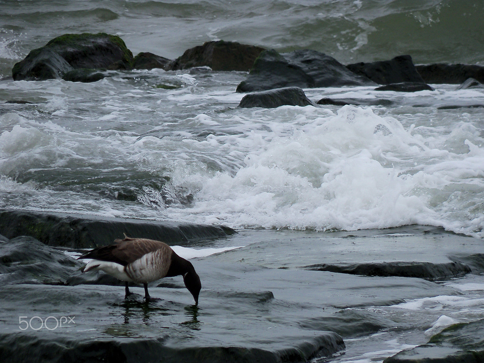 Kodak EasyShare Z915 sample photo. Southern new jersey, usa photography