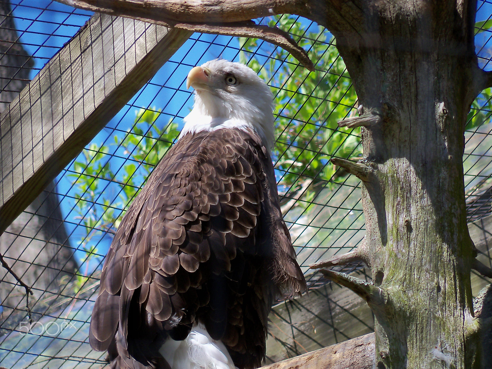 Kodak EasyShare Z915 sample photo. Southern new jersey, usa photography