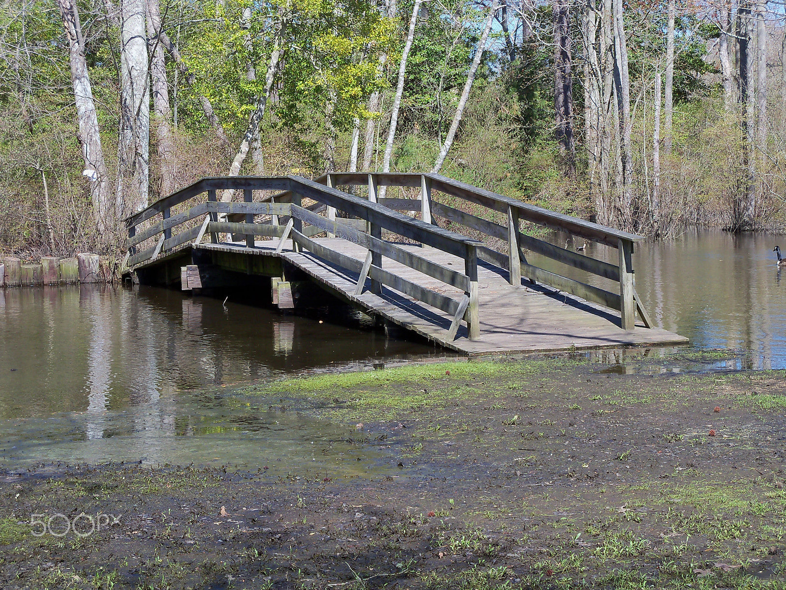 Kodak EasyShare Z915 sample photo. Southern new jersey, usa photography