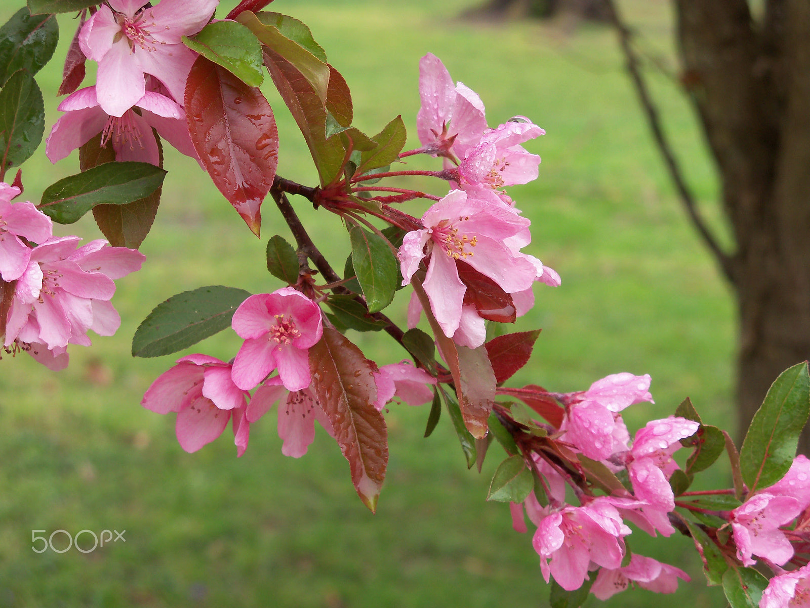 Kodak EasyShare Z915 sample photo. Southern new jersey, usa photography