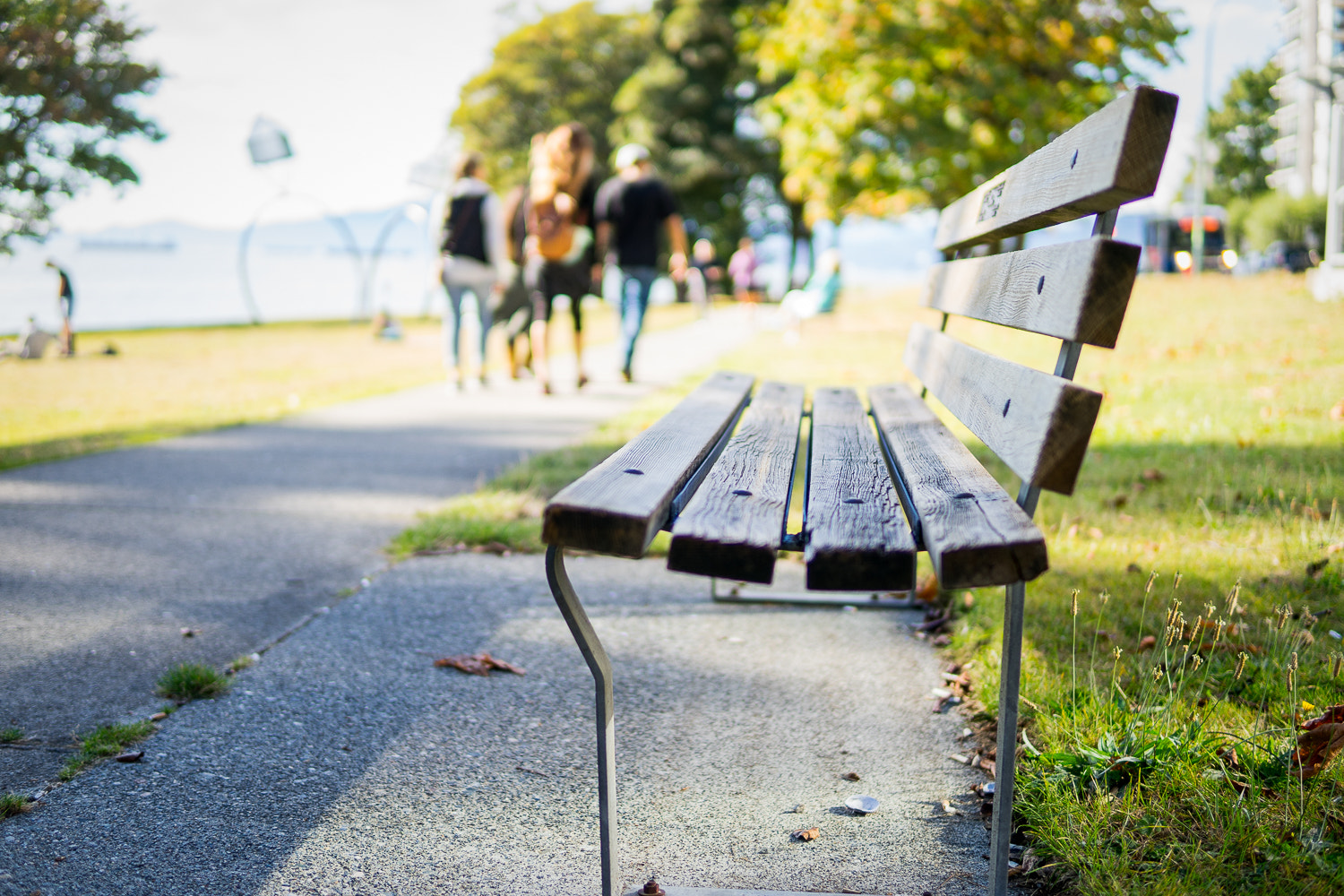 Sony a7 + Sigma 30mm F1.4 DC DN | C sample photo. Take a seat photography