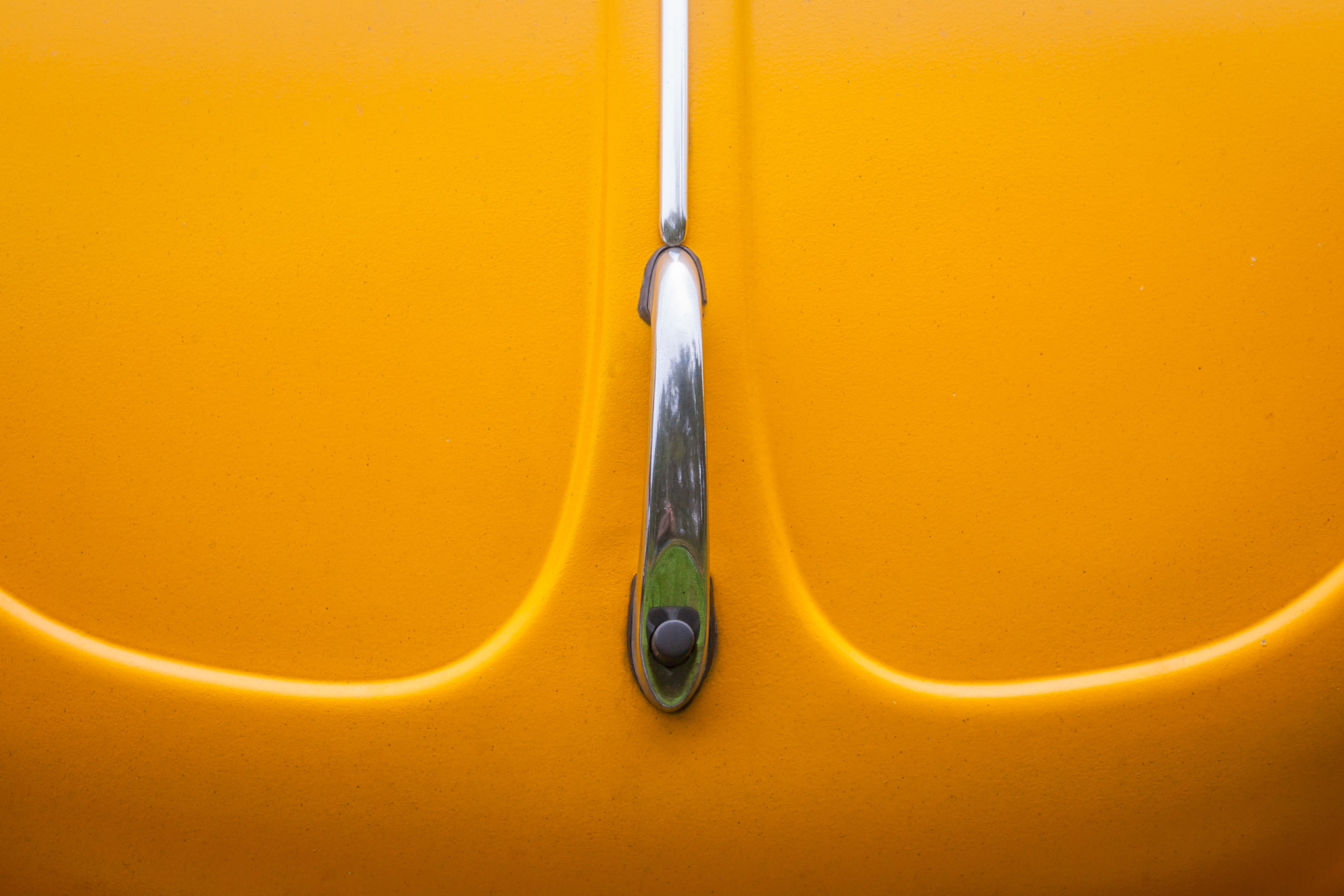 Canon EF 100mm F2.8L Macro IS USM sample photo. "yellow..." photography