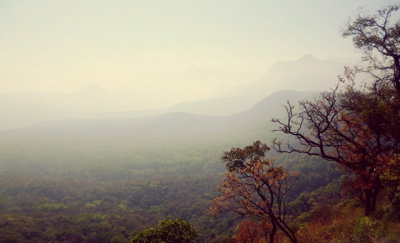 Panasonic DMC-S3 sample photo. Valparai road trip photography