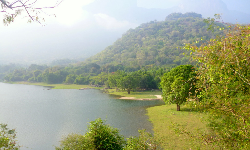 Panasonic DMC-S3 sample photo. Valparai road trip photography