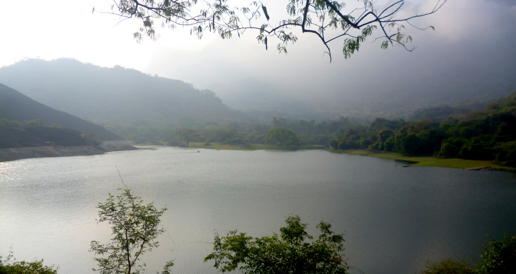 Panasonic DMC-S3 sample photo. Valparai road trip photography