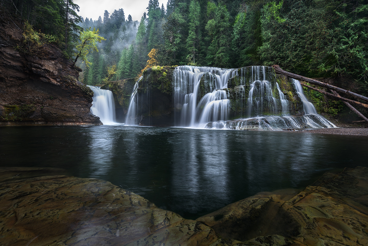 Sony a7R II + Canon EF 11-24mm F4L USM sample photo. Here comes fall photography