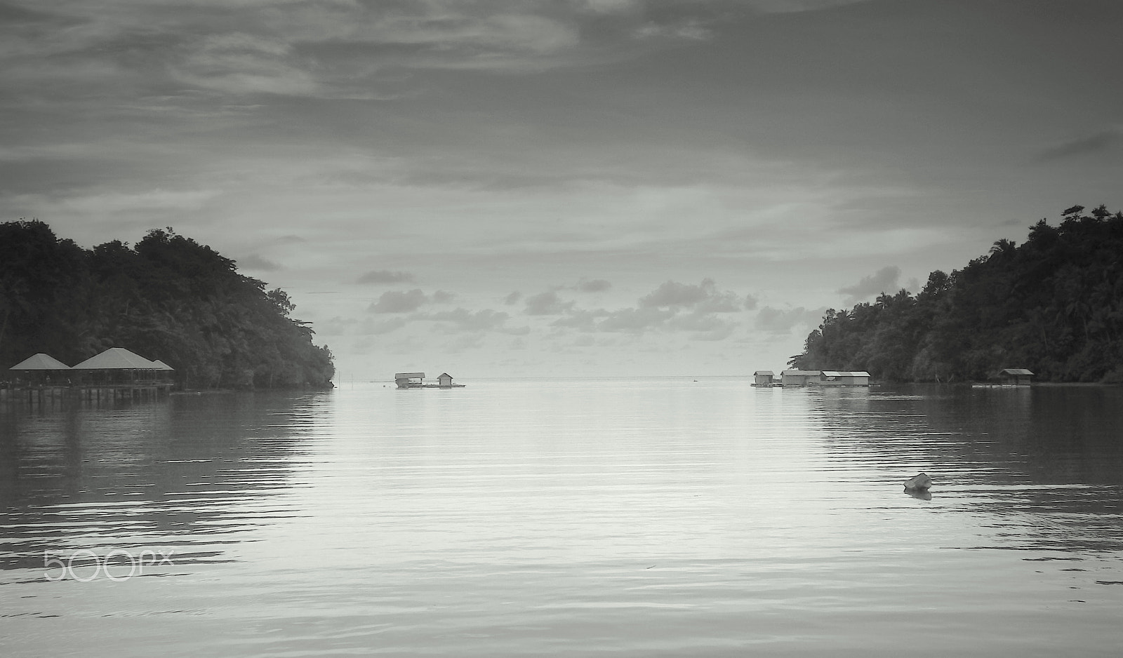Ricoh WG-4 sample photo. Hening photography