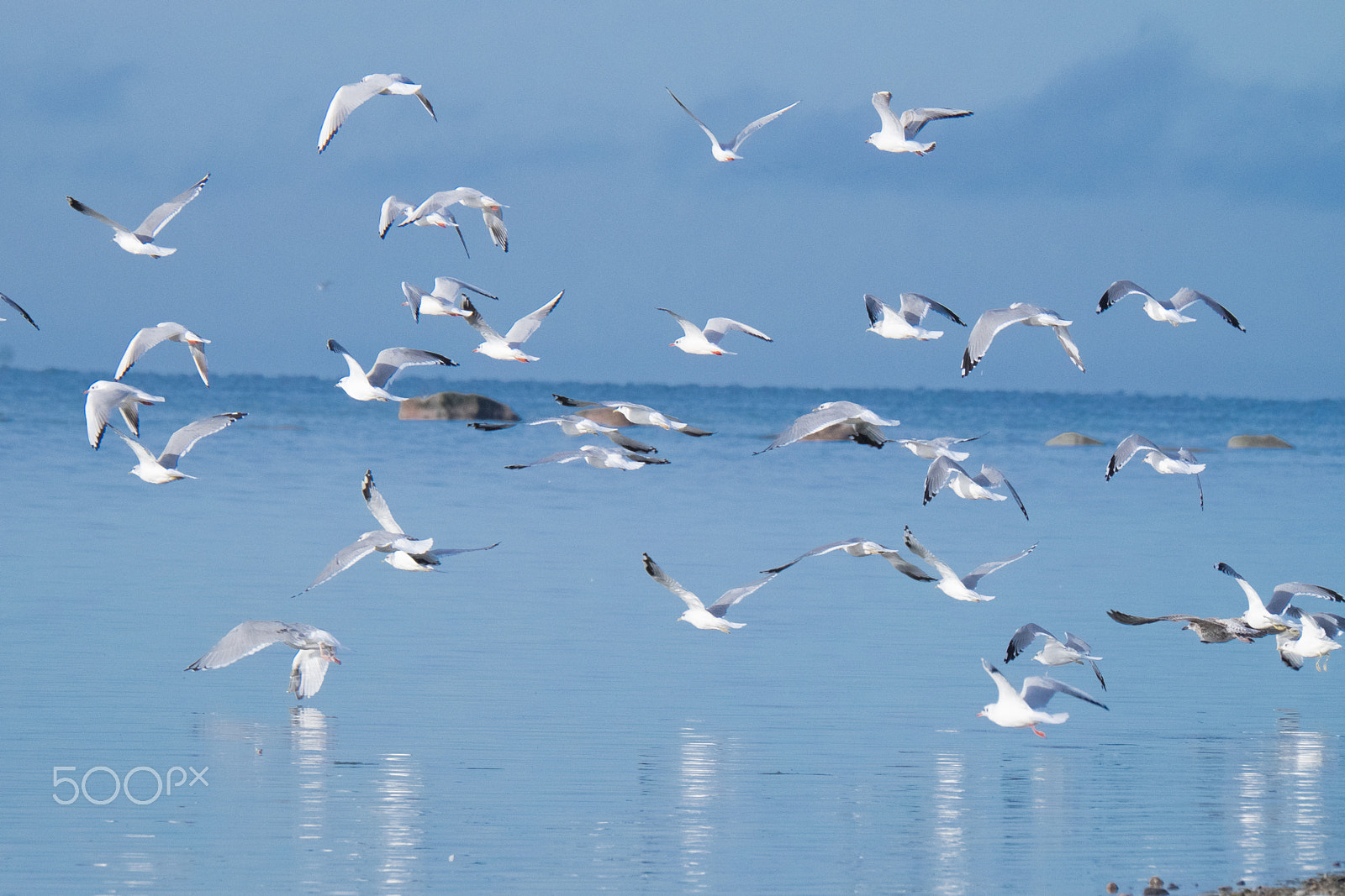 Fujifilm XF 100-400mm F4.5-5.6 R LM OIS WR sample photo. Dscf photography