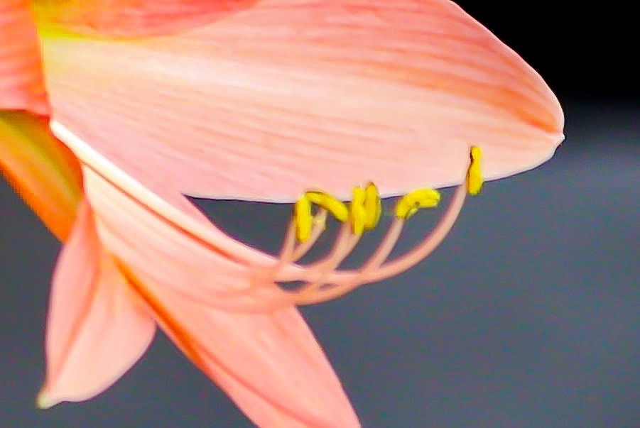 Canon EF-S 55-250mm F4-5.6 IS II sample photo. Natural beauty photography