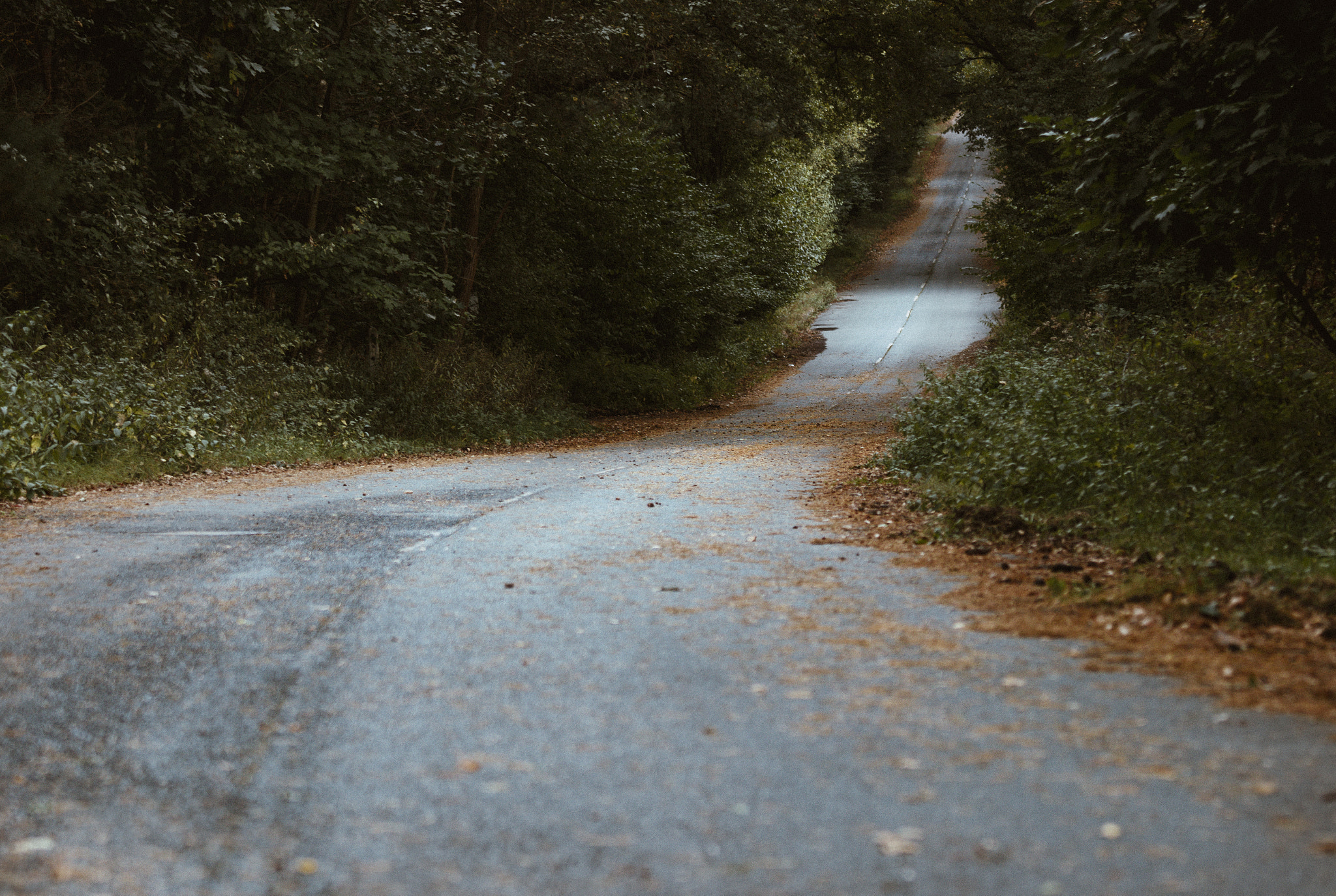 Canon EOS 760D (EOS Rebel T6s / EOS 8000D) + Canon EF 70-200mm F4L IS USM sample photo. Abandoned road photography