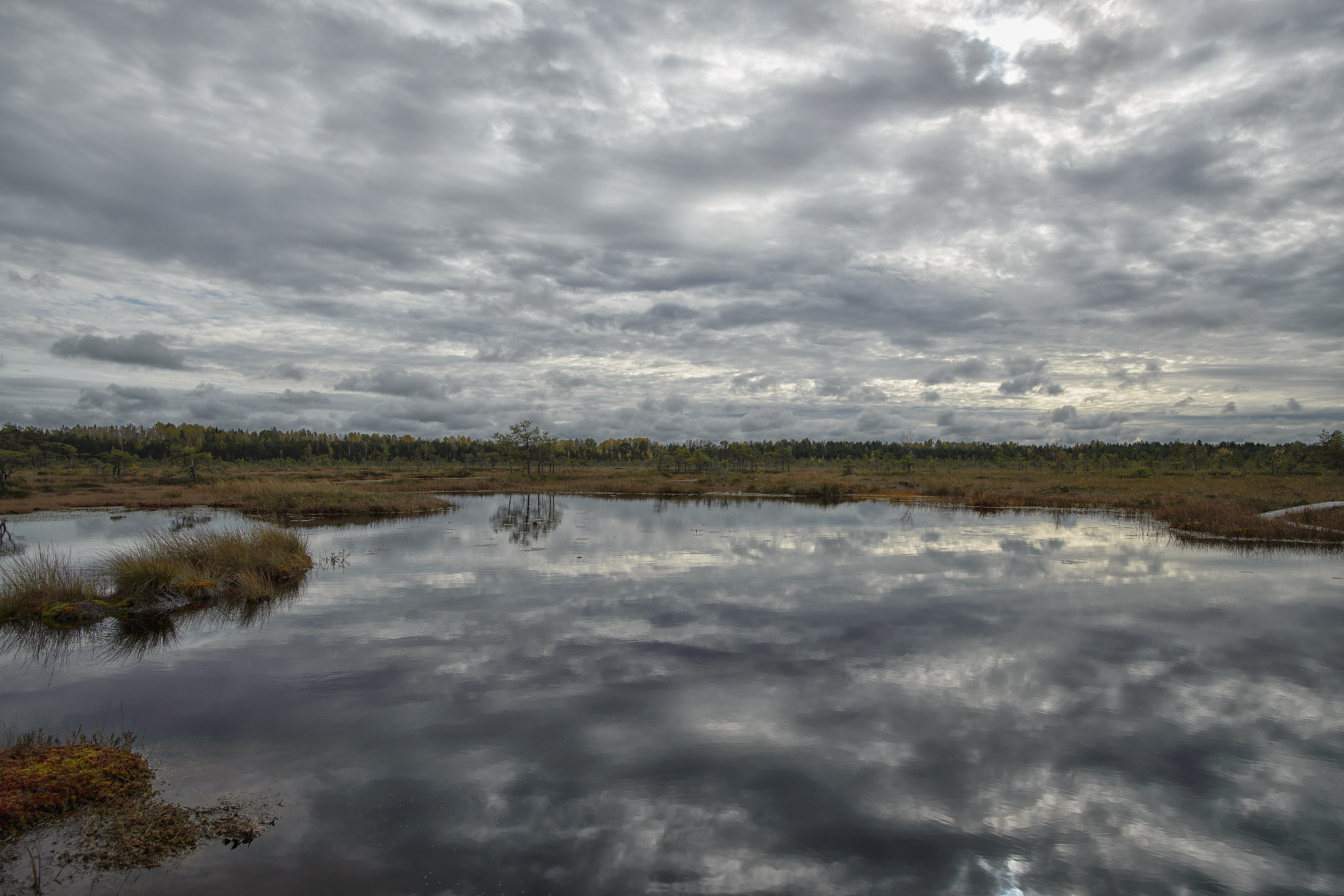 Nikon D600 + Nikon AF-S Nikkor 20mm F1.8G ED sample photo. Riisa bog in sooma national park photography