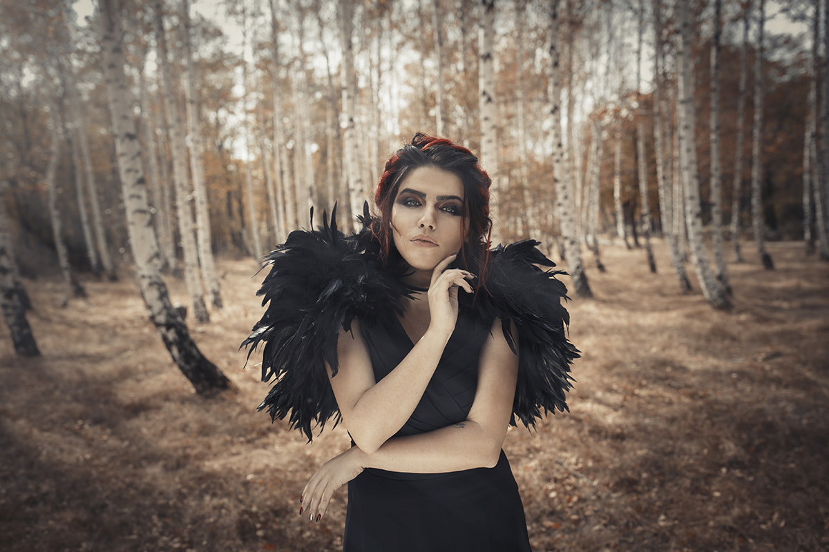 Canon EF 35mm F1.4L II USM sample photo. Raven photography