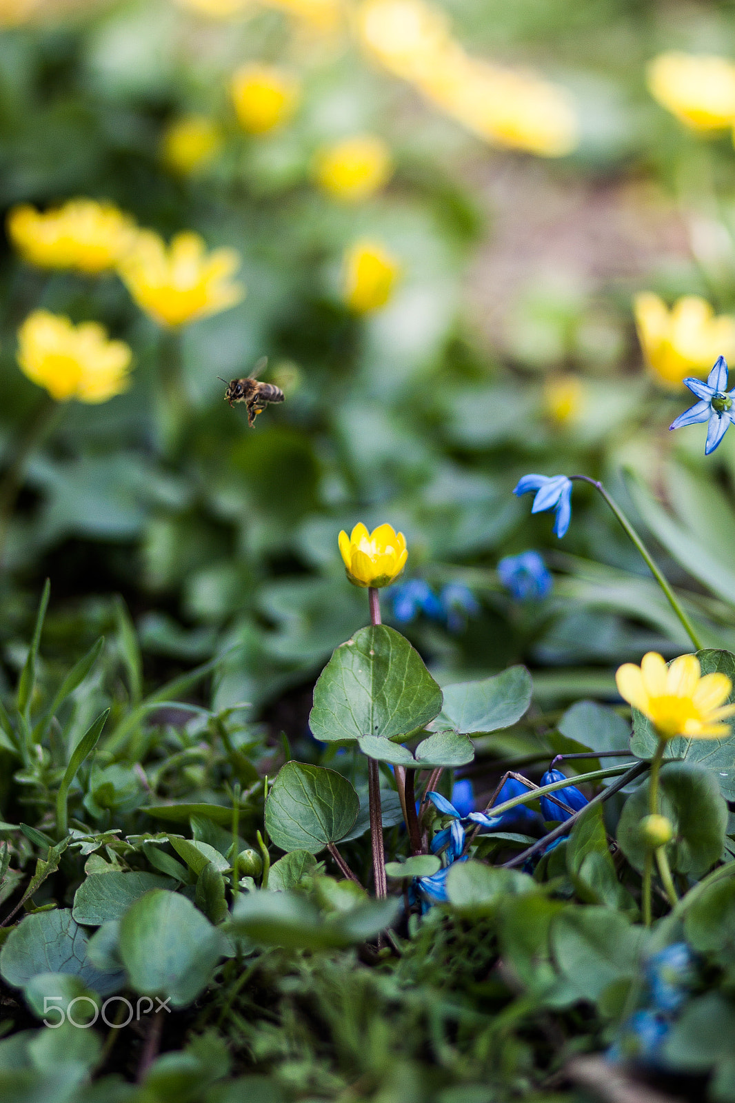 Canon EF 85mm F1.8 USM sample photo. ... photography