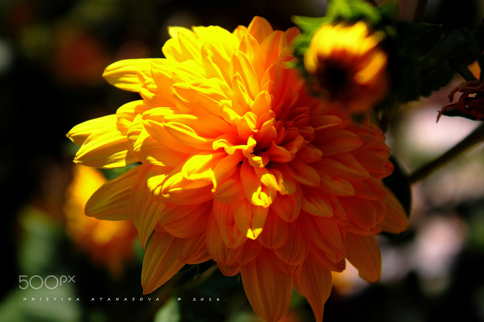 Canon EF-S 18-55mm F3.5-5.6 IS sample photo. Early in the morning... photography