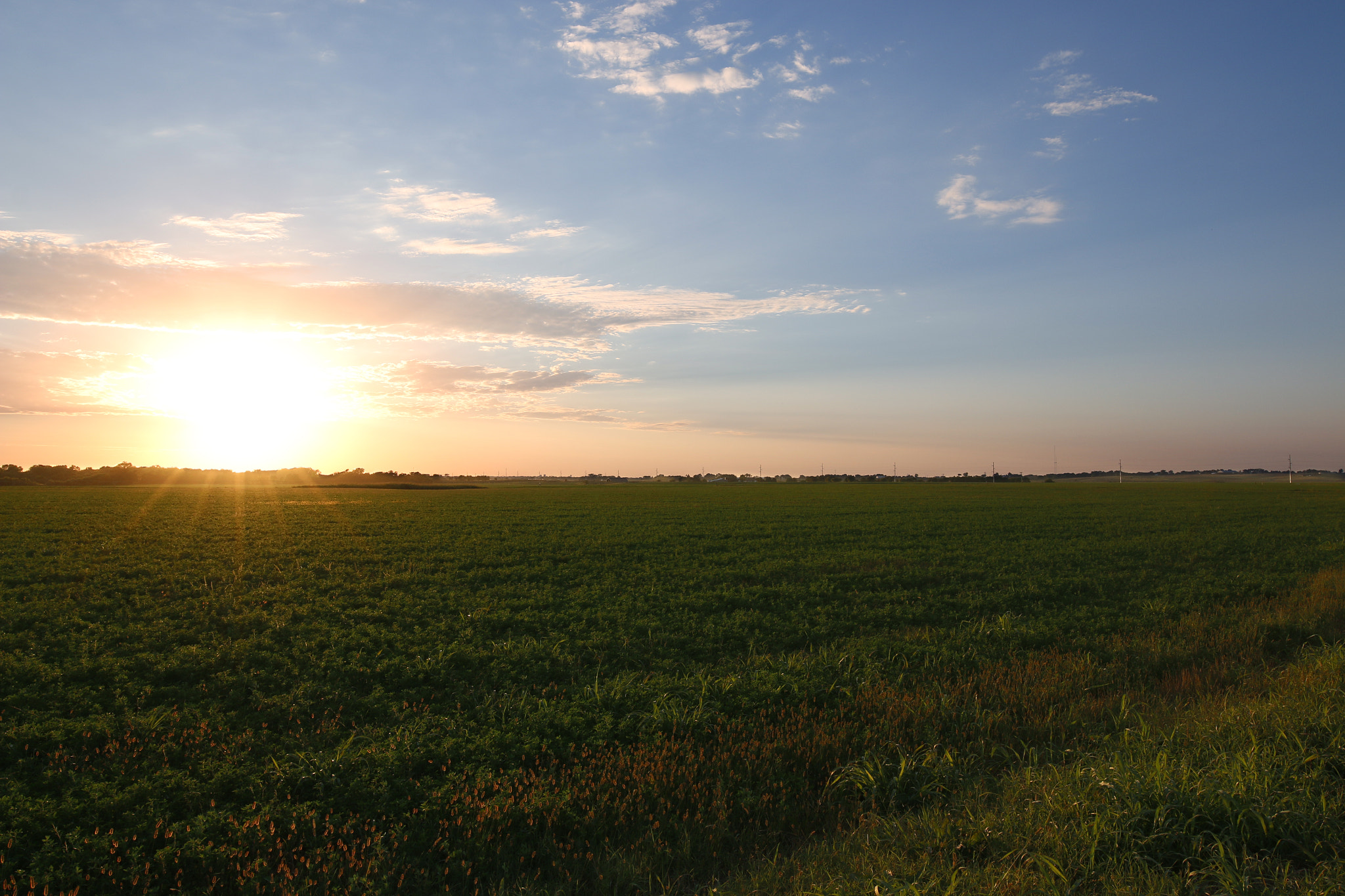 Canon EOS 70D + Canon EF 16-35mm F4L IS USM sample photo. Sunset photography