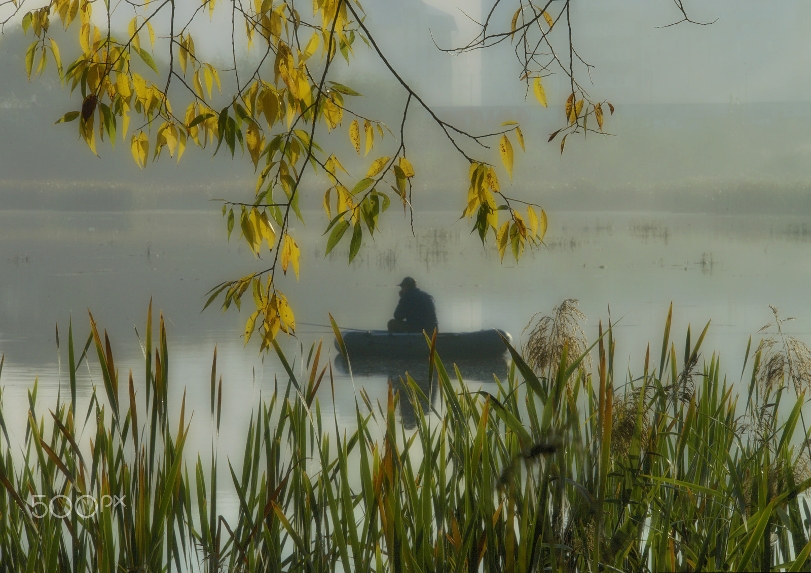 Sony a99 II + Tamron Lens (255) sample photo. Fishing in the city photography