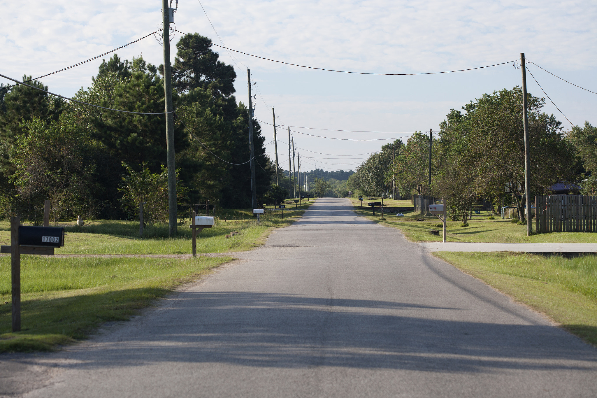 Canon EOS-1Ds Mark II sample photo. Suburbia photography