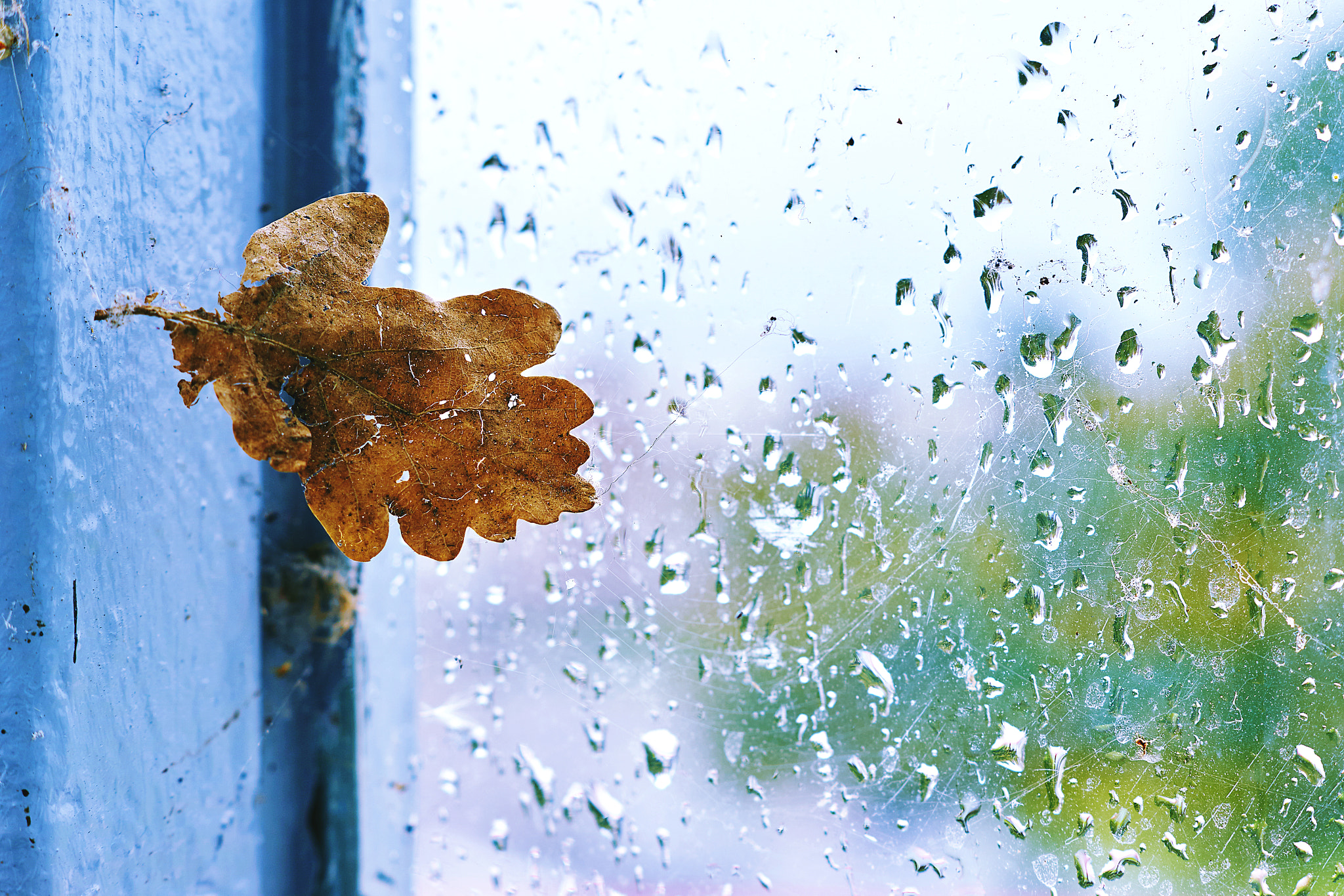 Sony ILCA-77M2 + Sony DT 50mm F1.8 SAM sample photo. Sad weather photography