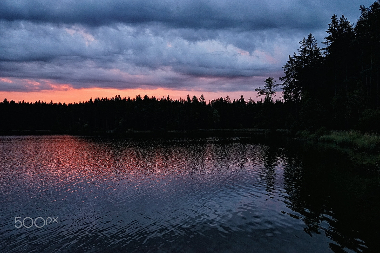 Sony a7 II sample photo. Morning sunrise at the pond photography