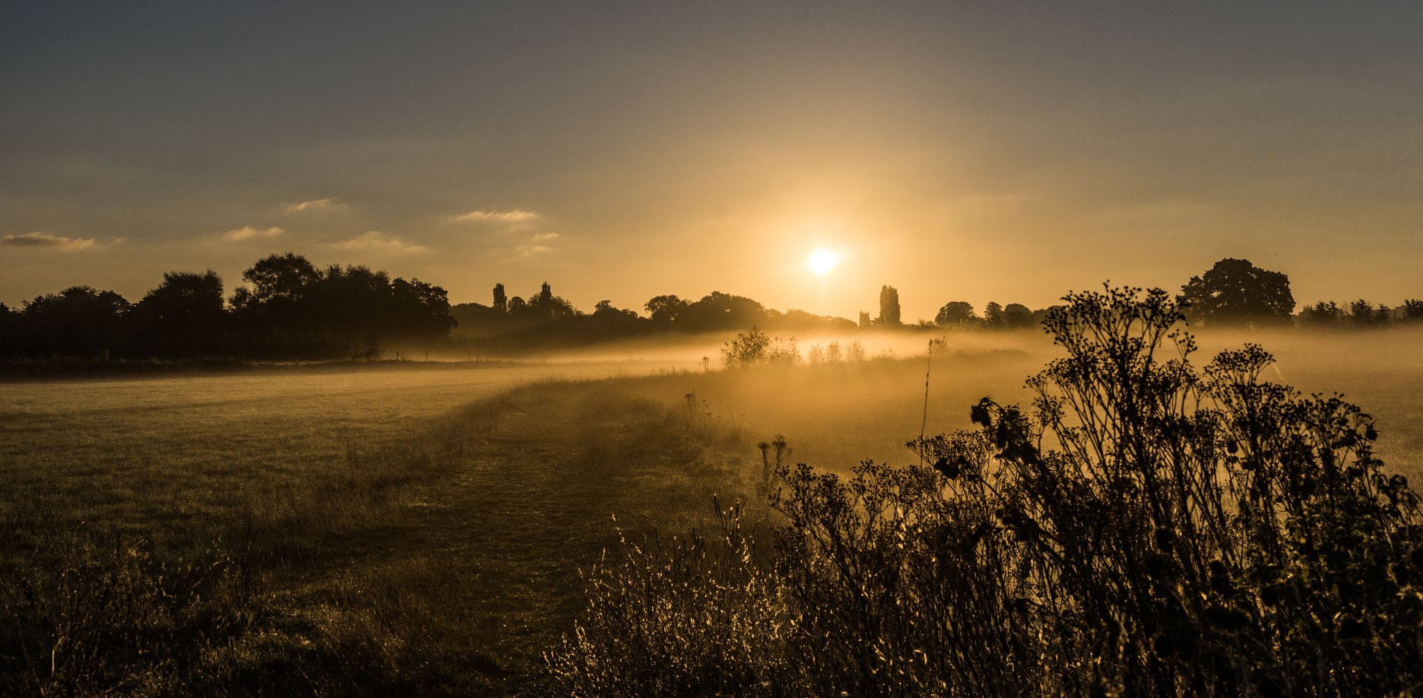 HD Pentax DA 35mm F2.8 Macro Limited sample photo. Floodplain dawn photography