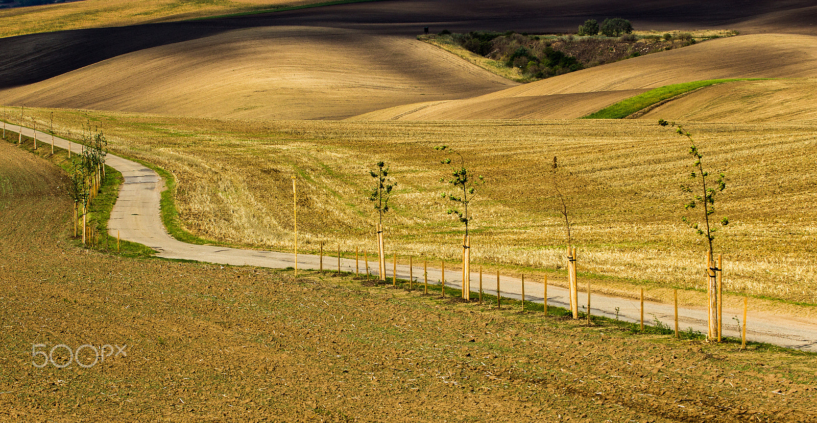 Canon EOS 600D (Rebel EOS T3i / EOS Kiss X5) sample photo. South moravia iii photography