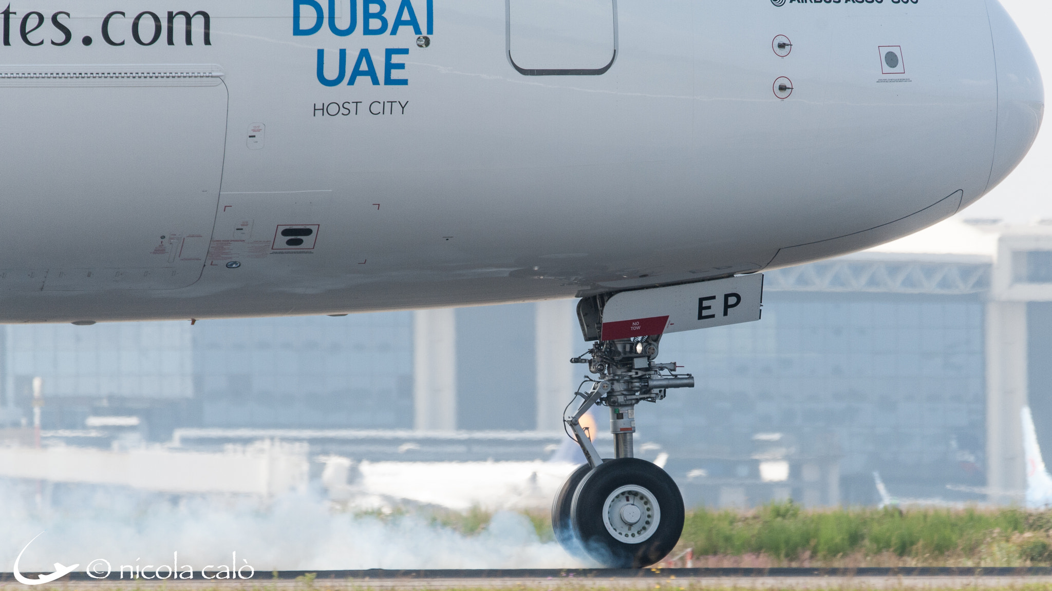Sigma 150-600mm F5-6.3 DG OS HSM | C sample photo. Dsc photography